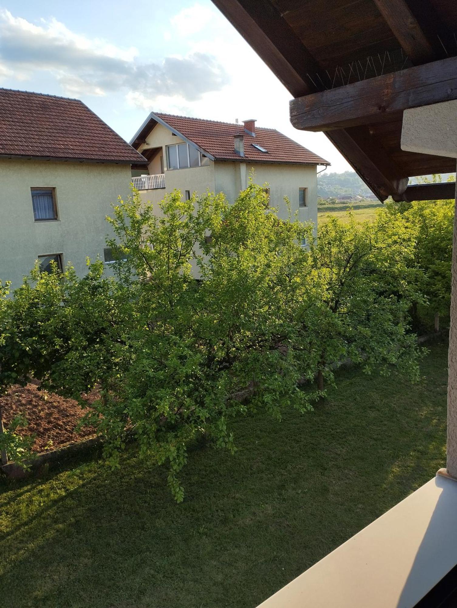 Ilidza Doglodi